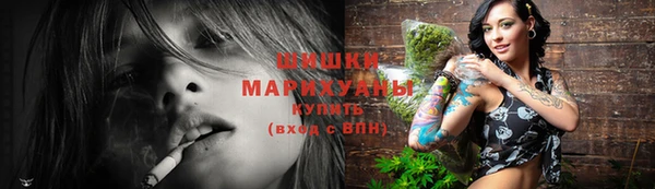 ешки Гусь-Хрустальный