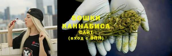 ешки Гусь-Хрустальный