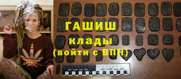 дмт Гусев