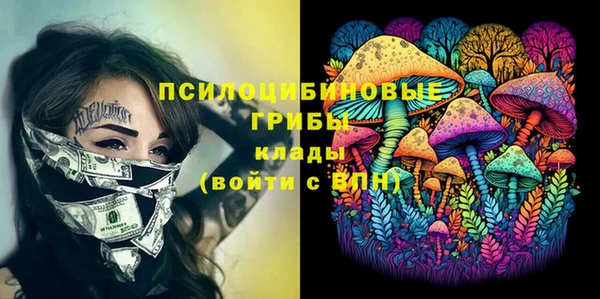 ешки Гусь-Хрустальный