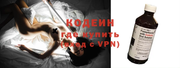 дмт Гусев