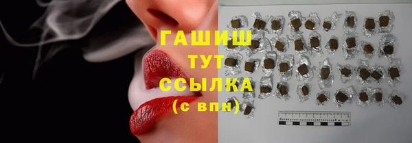 ешки Гусь-Хрустальный