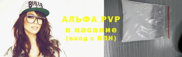 дмт Гусев