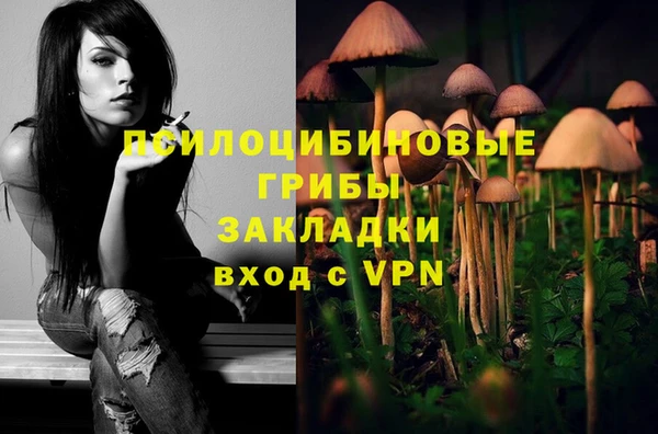 дмт Гусев
