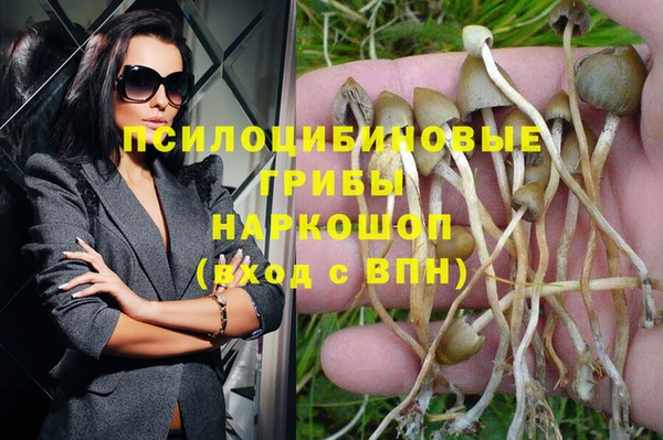 ешки Гусь-Хрустальный
