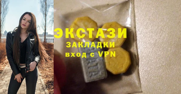 дмт Гусев