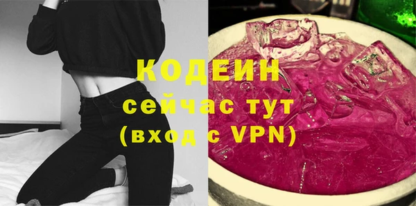 дмт Гусев