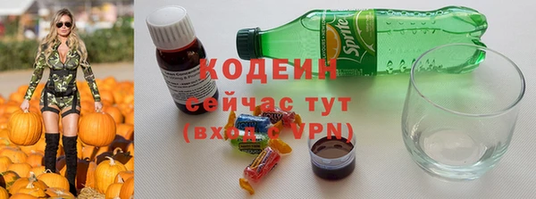 дмт Гусев