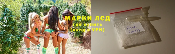 дмт Гусев