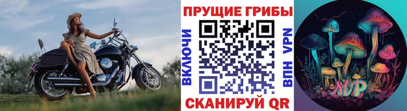 Псилоцибиновые грибы Cubensis  Купить где  Александровское 