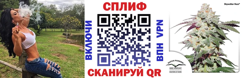 Конопля сатива  Купить где  Александровское 